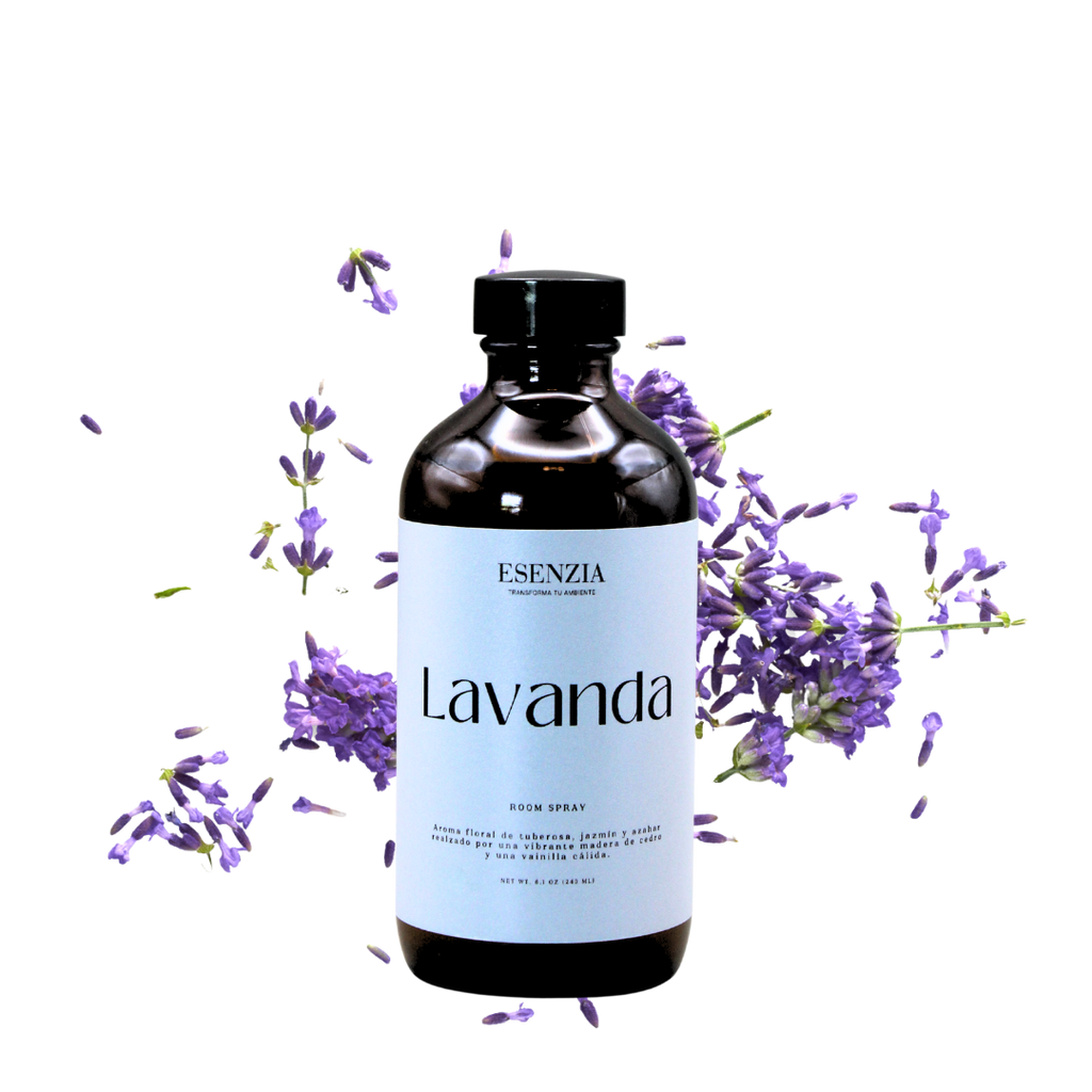 LAVANDA
