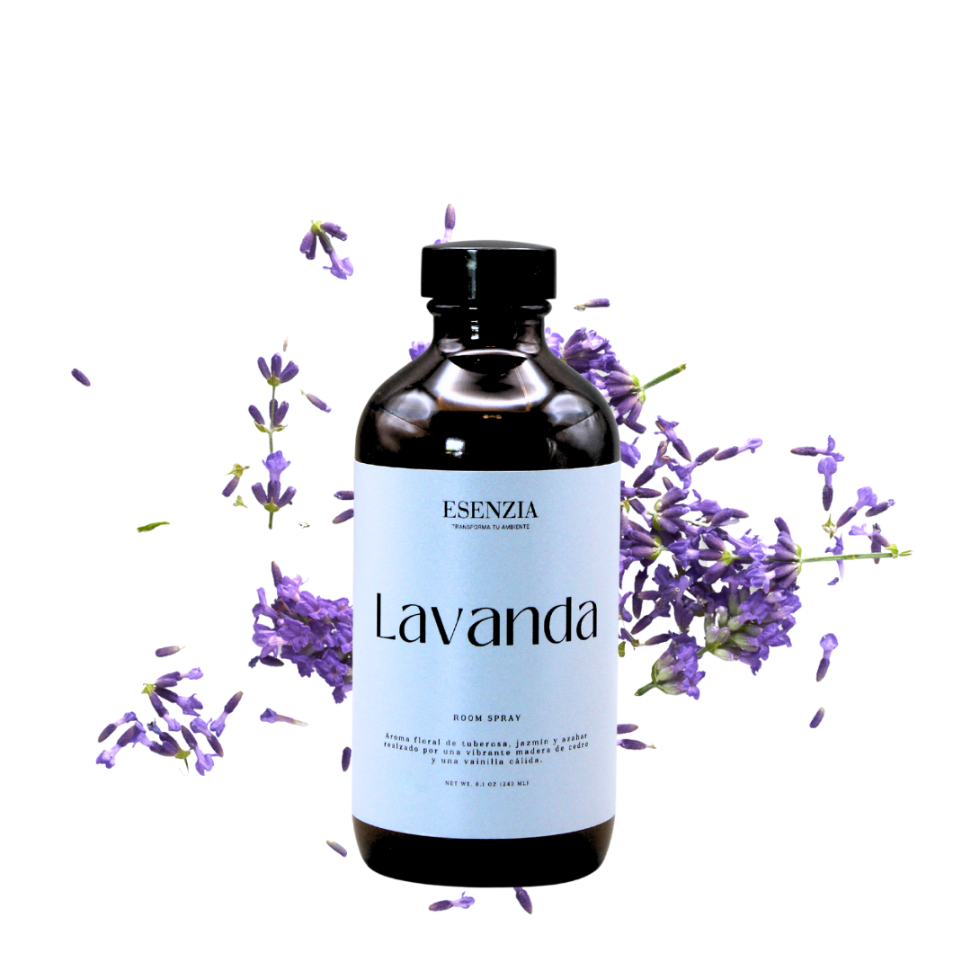 LAVANDA