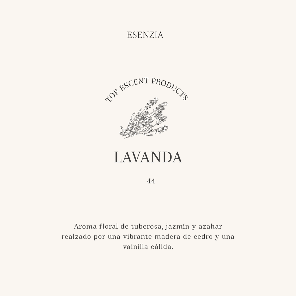 LAVANDA