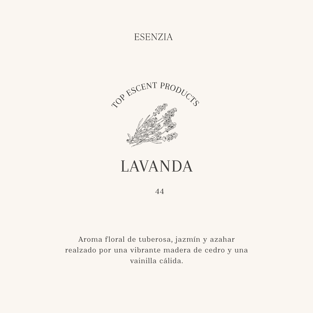 LAVANDA