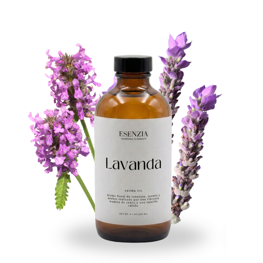 LAVANDA