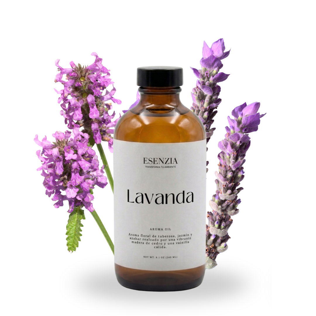 LAVANDA