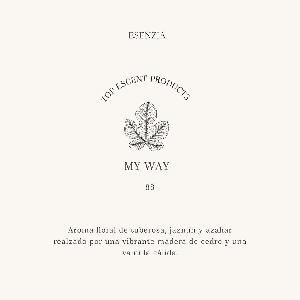 MY WAY